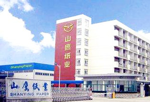 永宁山鹰纸业公司